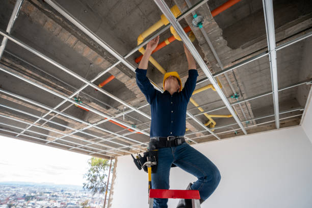 Best Leak Detection Services  in Collingdale, PA